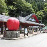 道の駅 はが