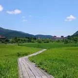 箱根湿生花園