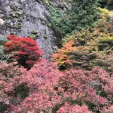 国民宿舎 古岩屋荘