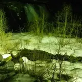 新平湯温泉 タルマかねこおり ライトアップ