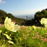 神戸布引ハーブ園/ロープウェイ