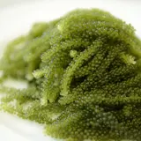 久米島海洋深層水開発（株）