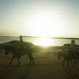 久米島馬牧場
