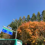 Jeongjayeog