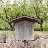 亀山城