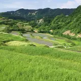 四ケ村の棚田