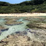 吉野海岸