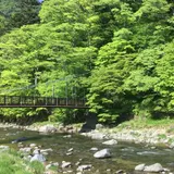 紅の吊橋
