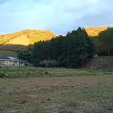 こころみ学園