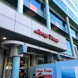 ロングスドラックス