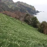 梨子ヶ平台地
