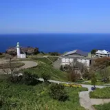 越前岬水仙ランド