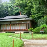 清正井