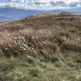 ビーナスライン