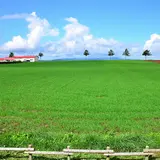 メルヘンの丘