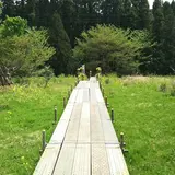 チバニアン 地球磁場逆転地層