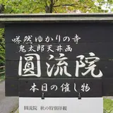 圓流院