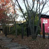 灯屋