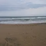 琴ケ浜