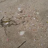 増穂浦海岸