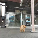 鹿児島駅