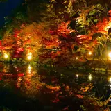 神勝禅寺 紅葉ライトアップ特別拝観