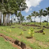 クカニロコ・バーシング・ストーンズ