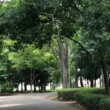 都立小金井公園