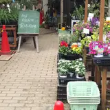 オリーブ・ガーデン