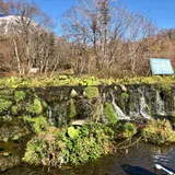 羊蹄山の湧き水