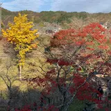 小原ふれあい公園