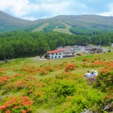 湯ノ丸高原