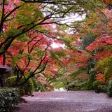 胡宮神社