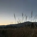 仙石原高原