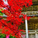 瑞光山 清水寺