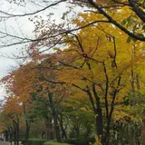 ファミリー名店街