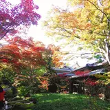 宝厳院