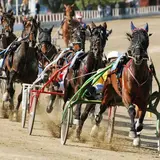ヴィノーヴォ競馬場