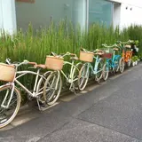 アロハロコ スタジオ