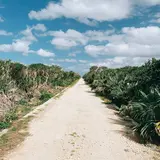 久高島