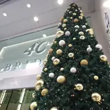 ４℃ Bridal｜結婚指輪・婚約指輪のブライダル専門店｜銀座本店