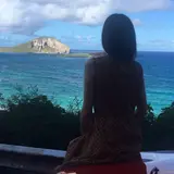 North Shore Shark Adventures