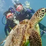 Sunshine Scuba