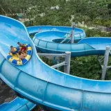 Wet'n'Wild Hawaii