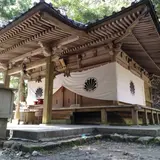 木の根道