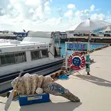 竹富島 グラスボート南西観光