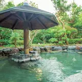 湯快リゾート 芦原温泉 青雲閣