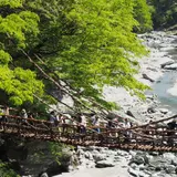 祖谷のかずら橋