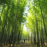 若山農場