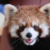 静岡市立日本平動物園